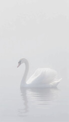 Monochrome illustration of a white swan swimming in a pond wrapped in fog. Vector graphics. EPS.