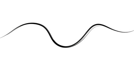 Elegant black brush stroke flowing across clean white background, a dynamic artistic design element.