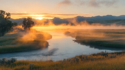 Radiant sunrise over a winding river veiled in golden mist, with distant mountains and lush grass, creating an ethereal and serene wilderness landscape.