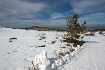 Winter landscape of Vitosha Mountain, Bulgaria