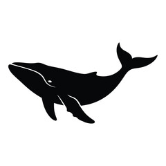 A majestic whale gracefully swimming with a striking black silhouette