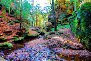 Old Man's Cave unit, Hocking Hills State Park, Ohio