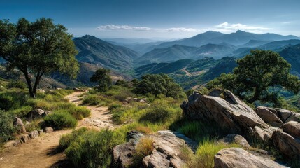 Obraz premium Breathtaking Mountain Landscape with Rolling Hills, Lush Greenery, and Rocky Pathway Amidst a Serene Sky in the Early Morning Light