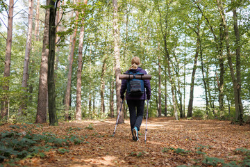 Obraz premium Solo traveler hiking through forest trail with backpack and trekking poles