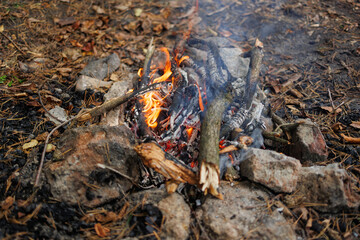 Burning campfire with wood and stones in forest campsite close-up