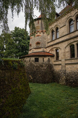Fototapeta premium A mysterious black and white photo of a fern shadow on a textured rock, showing intricate details and a dramatic play of light. Perfect for artistic and botanical projects