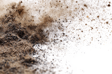 Close-up of dark, textured dust and mold particles scattered on a white surface, showing a dirty and unhygienic environment.