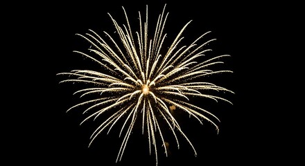 Obraz premium Golden Firework Texture — Thin Stroke Lines PNG Illustration with Transparent Background for Overlay