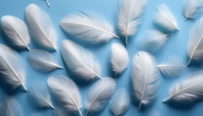 Naklejka premium Delicate White Feathers Gently Scattered Across A Soft Light Blue Background Creating A Serene And Tranquil Atmosphere Perfect For A Calming Design