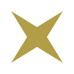Star symbol. Golden star icon