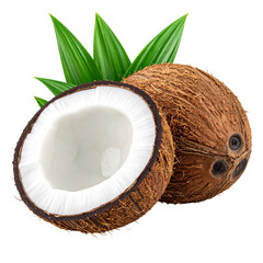 Kokosnuss