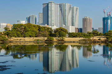 Obraz premium Calm water of a park pond reflecting the urban architecture of Tokyo, Japan.