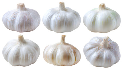 Six fresh garlic bulbs close up on transparent png background