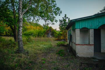 A birch tree stands in the foreground of a scene featuring an old building with a turquoise-trimmed porch and a small, vine-covered house in the background.