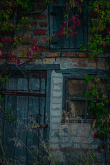 A moody close-up of a rustic, abandoned brick building, with a weathered blue door and window framed by dark, twisted vines with pops of deep red and green leaves.