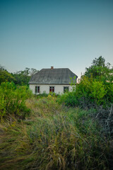 An abandoned white brick house with a gray corrugated roof is almost hidden by a foreground of overgrown green bushes and tall, dry brown grass under a clear blue sky.