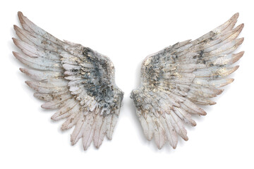 Pair of angel wings with white and gray feathers isolated on a white background.