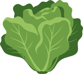 Obraz premium Fresh, Green Lettuce A Healthy and Nutritious Vegetable for Your Diet