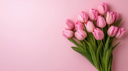 Obraz premium Beautiful Pink Tulips Bouquet on Soft Pink Background for Celebrations