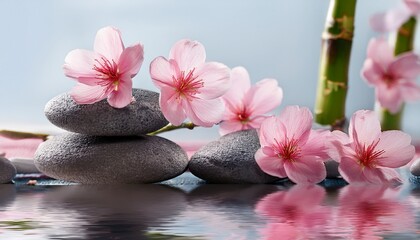 Pink Flowers And Grey Stones Zen Spa Relaxation