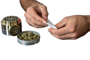 Preparing a joint and drug paraphernalia concept theme with close up man hands rolling a joint with herb girder to grind  On Transparent White Background
