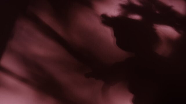 Shadow of Creepy doll, shaggy hair,  grunge, noise, soft blurred and cinematic. Horror. Mystery silhouette of scarecrow. Spooky