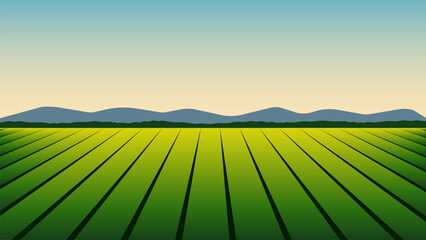 Agriculture farm field landscape illustration background vector