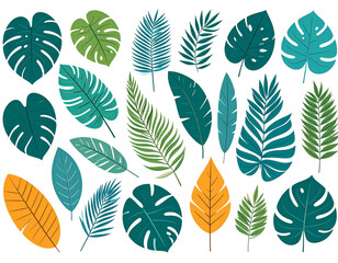 PNG von tropischen Bl&auml;ttern und dekorativen Pflanzenmotiven