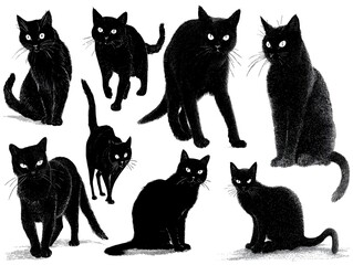 Fototapeta premium A collection of illustrated black cats are displayed against a clean, crisp white background with great detail.