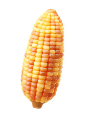 Colorful corn cob with yellow and orange kernels, fresh and vibrant, perfect for autumn harvest or Thanksgiving food celebration