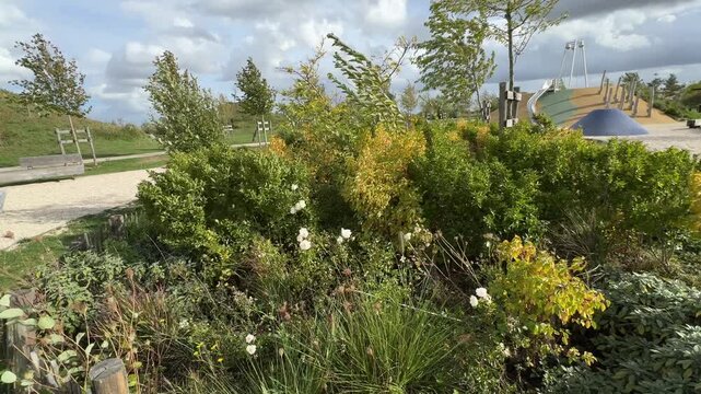 Trees and bushes sway vigorously in a strong, blustery wind in a modern public park