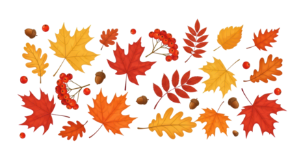 Vibrant autumn leaves and berries scattered in warm hues on a black background