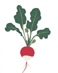 A vibrant, cartoon-style illustration of a red radish with green leaves against a white background.