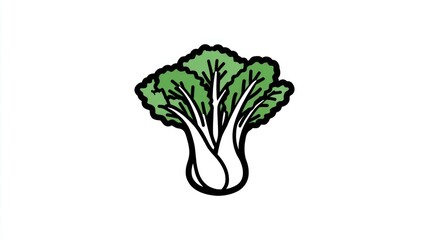 Bok choy illustration