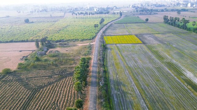 Aerial view of small village surrounded with lush green paddy fields near Vijayawada, Andhra Pradesh state in India in winter time.
