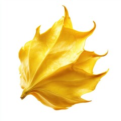 Fototapeta premium A vibrant yellow leaf with unique, jagged edges against a white background, highlighting its intricate texture.