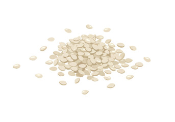 A pile of white sesame seeds is depicted scattered and overlapping on a white background