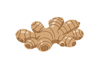 A tan ginger root with segmented bulges and darker brown lines