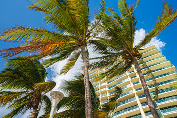 Miami Beach Cityscape
