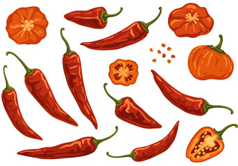 Assortment of red  orange chili peppers  cut pieces arranged on a white backdrop