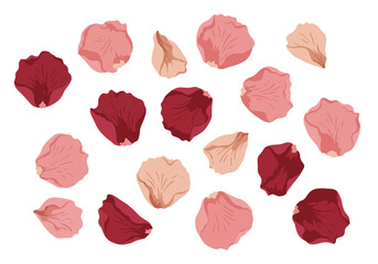Loose rose petals in shades of pink and red scattered on a white background