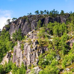 Rocky mountain slope with greenery