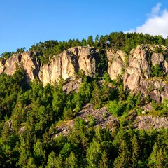 Rocky mountainside with forest