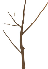 나뭇가지
