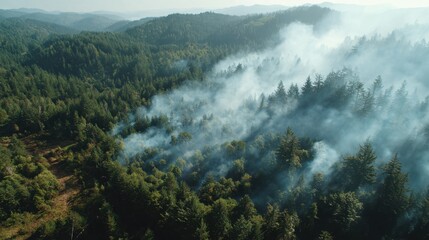 Obraz premium Smoke Rising from Lush Green Forest in Mountainous Landscape on a Clear Day