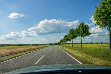 Country road between fields with round trees and dry stubble