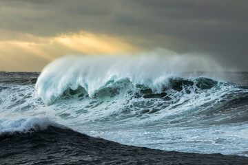 Powerful wave crashing at sunrise with golden light over Bronte Beach, Sydney, Australia.
