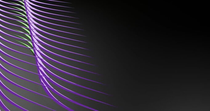 Anima&ccedil;&atilde;o 4K em loop de linhas/fitas onduladas nas cores roxo e verde sobre fundo escuro com degrad&ecirc;. Movimento cont&iacute;nuo e elegante, est&eacute;tica tech/minimalista com espa&ccedil;o para texto/branding no lado dir
