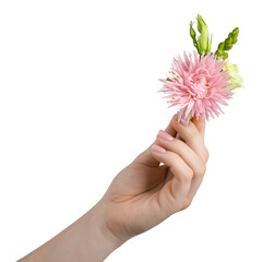 Woman with stylish small boutonniere on white background, closeup