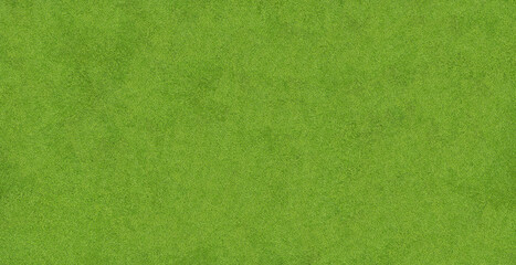 Fototapeta premium Lush green grass, top view. Banner design